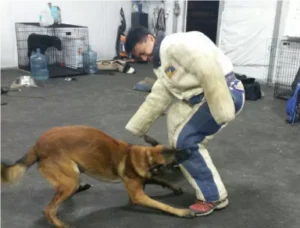 gallery-2-67de27e5b382f