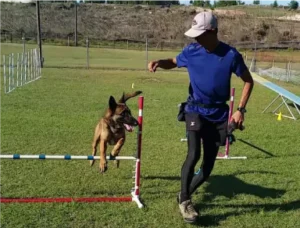 gallery-4-67de27e784911