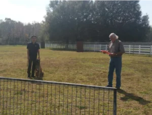 gallery-9-67de27d724876